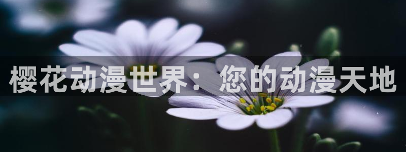 omofun正版官方