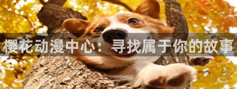 omofun动漫